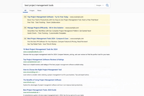 search engine results page showing paid ads at the top and organic results below
